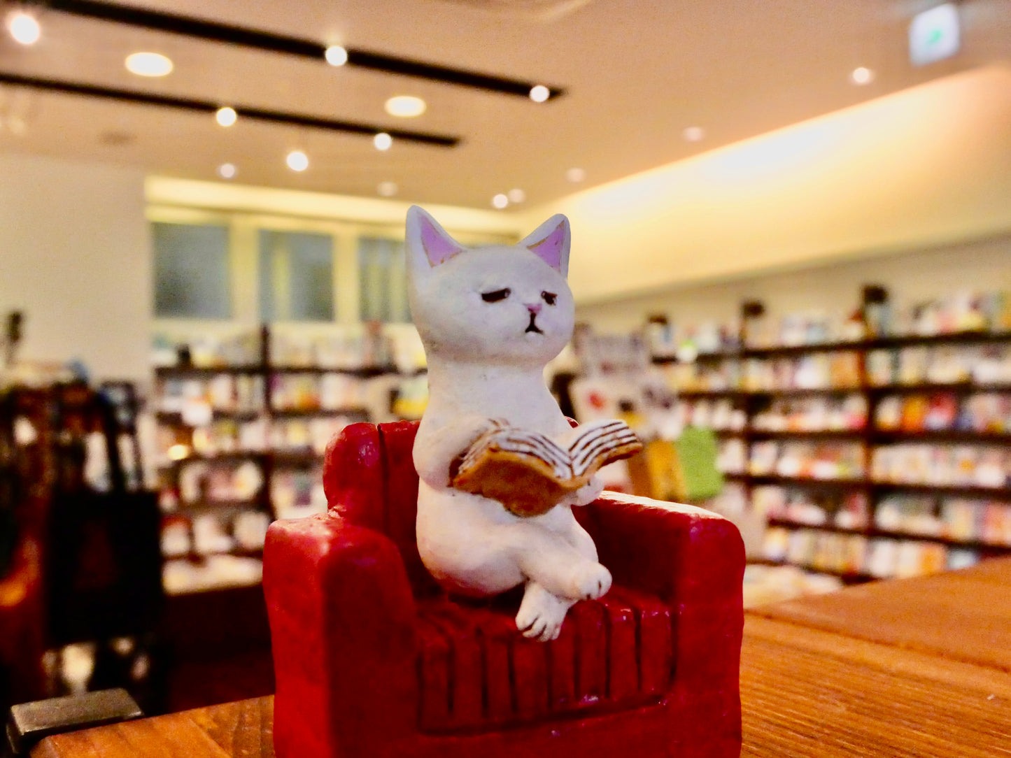本を読むネコ 〜Animal Book Club〜(受注制作)