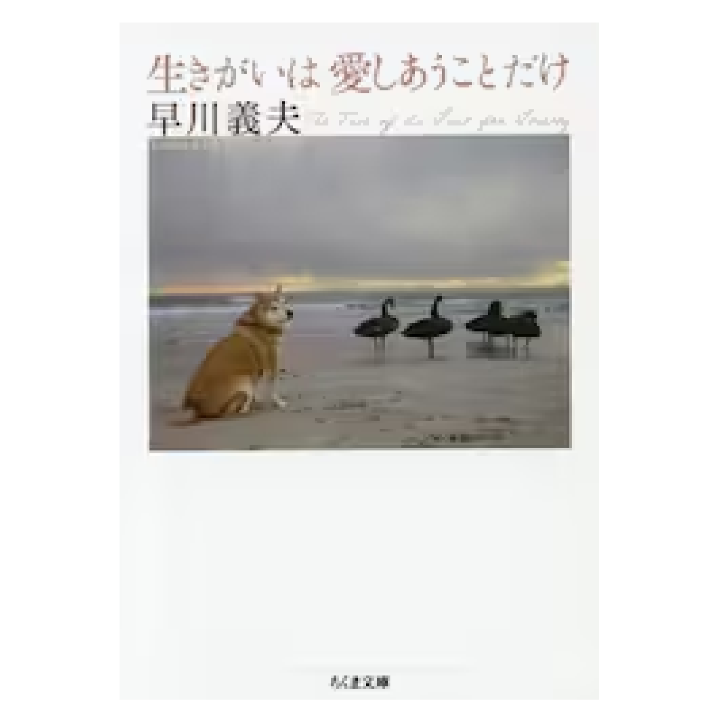 生きがいは愛しあうことだけ
