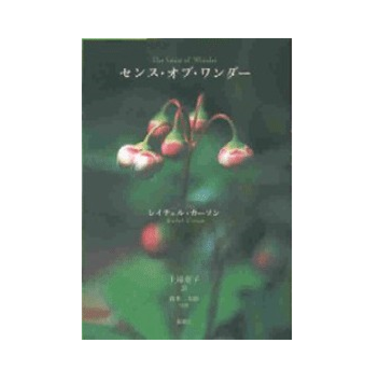 センス・オブ・ワンダー