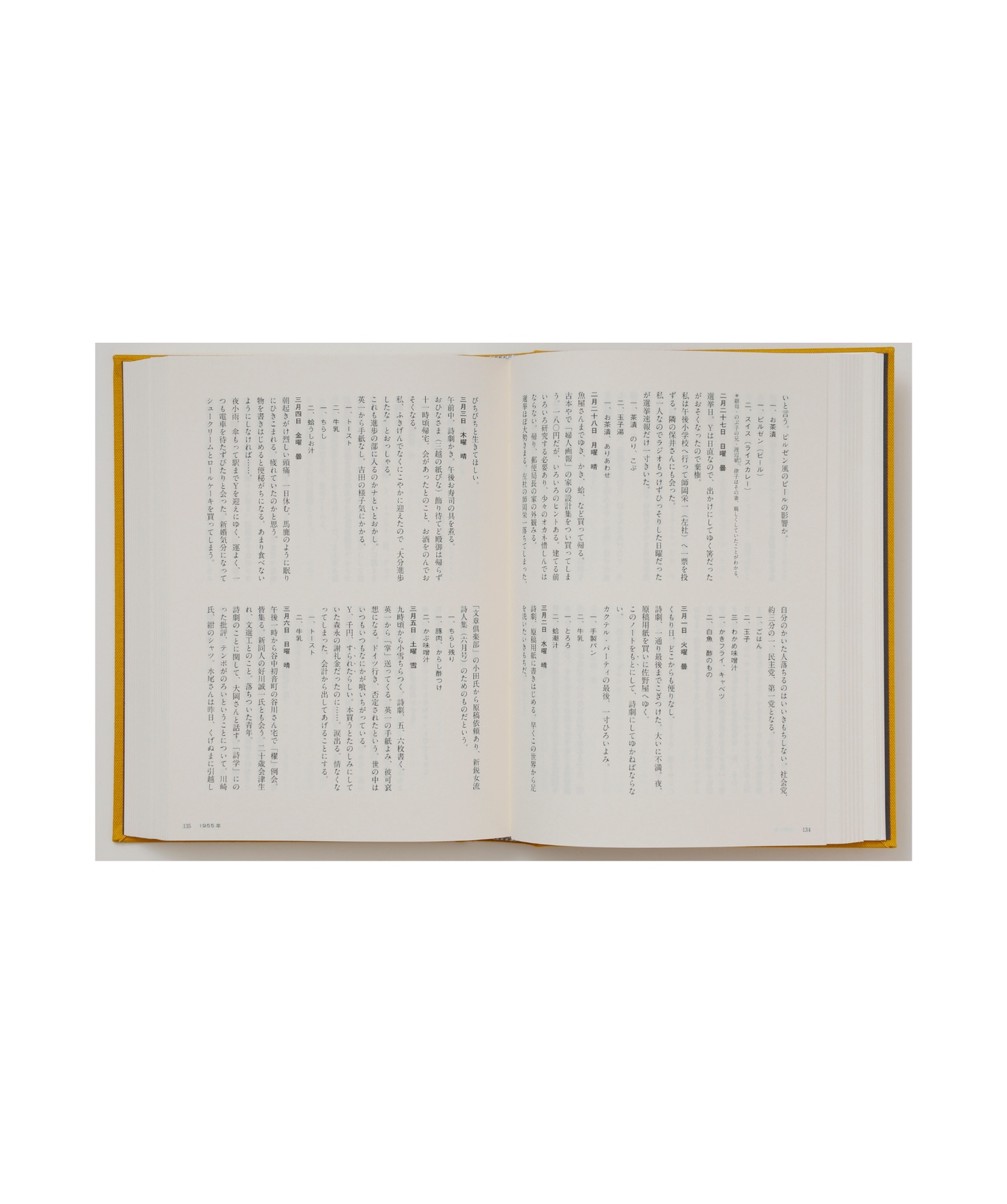 茨木のり子　全日記Ⅰ