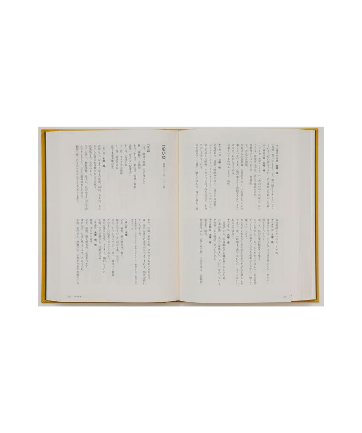 茨木のり子　全日記Ⅰ