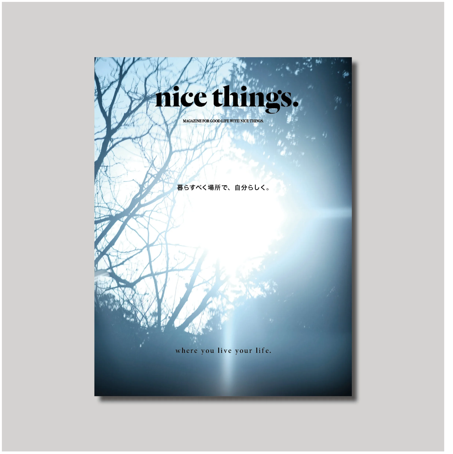nice things.issue71 「暮らすべく場所で、自分らしく。」